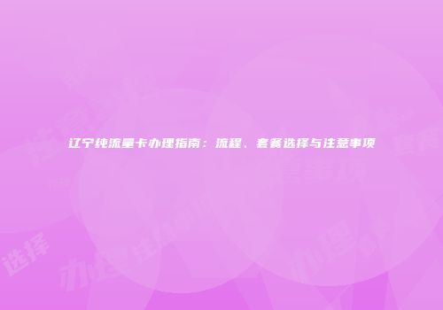 辽宁纯流量卡办理指南：流程、套餐选择与注意事项