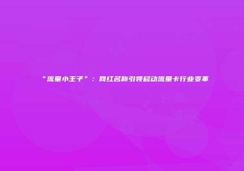 “流量小王子”：网红名称引领移动流量卡行业变革