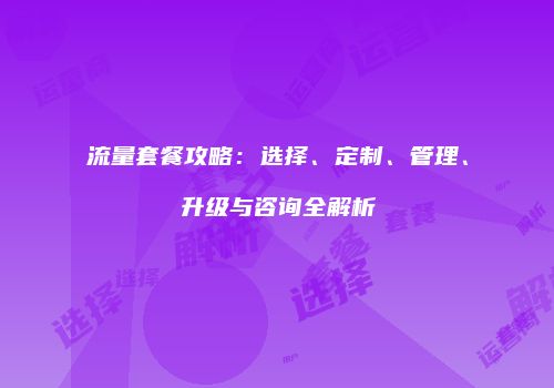 流量套餐攻略：选择、定制、管理、升级与咨询全解析
