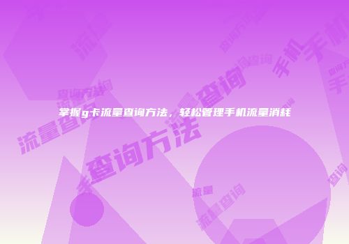 掌握g卡流量查询方法，轻松管理手机流量消耗
