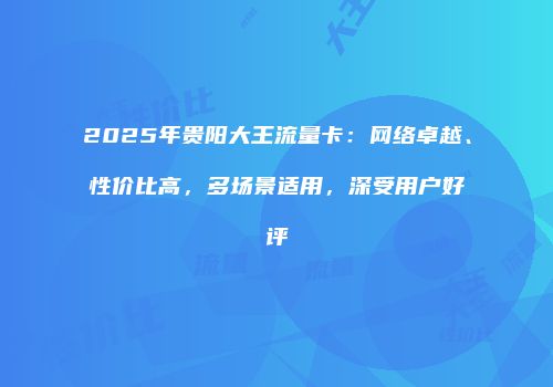 2025年贵阳大王流量卡：网络卓越、性价比高，多场景适用，深受用户好评