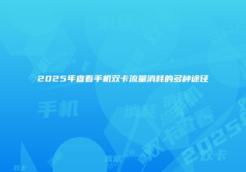 2025年查看手机双卡流量消耗的多种途径