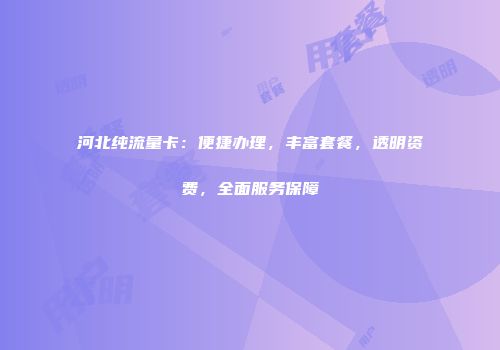 河北纯流量卡：便捷办理，丰富套餐，透明资费，全面服务保障