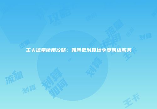 王卡流量使用攻略：如何更划算地享受网络服务