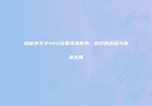 揭秘地王卡40G流量免流服务：背后的原因与未来发展