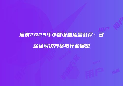 应对2025年小智设备流量耗尽：多途径解决方案与行业展望