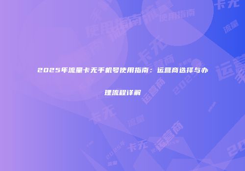 2025年流量卡无手机号使用指南：运营商选择与办理流程详解