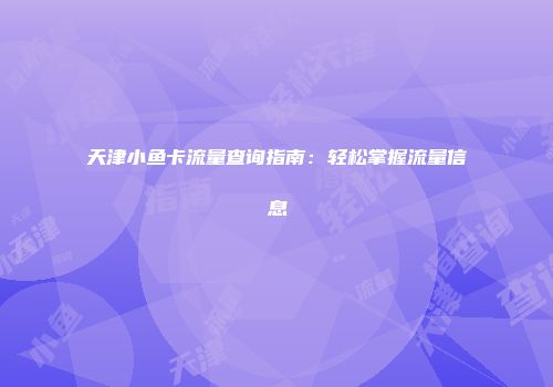 天津小鱼卡流量查询指南：轻松掌握流量信息