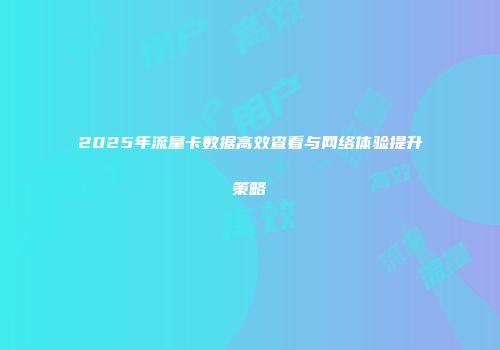2025年流量卡数据高效查看与网络体验提升策略