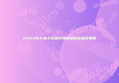 2025年大鱼卡流量封顶解除的多途径策略
