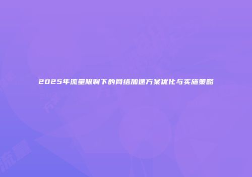 2025年流量限制下的网络加速方案优化与实施策略