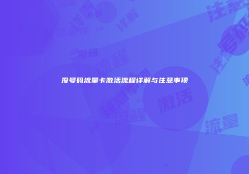 没号码流量卡激活流程详解与注意事项