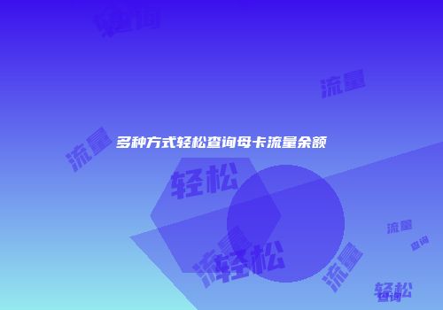 多种方式轻松查询母卡流量余额