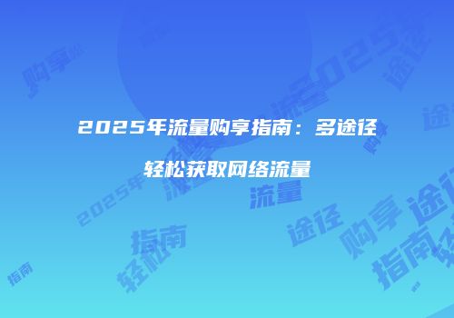 2025年流量购享指南：多途径轻松获取网络流量
