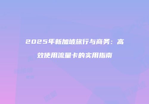 2025年新加坡旅行与商务：高效使用流量卡的实用指南