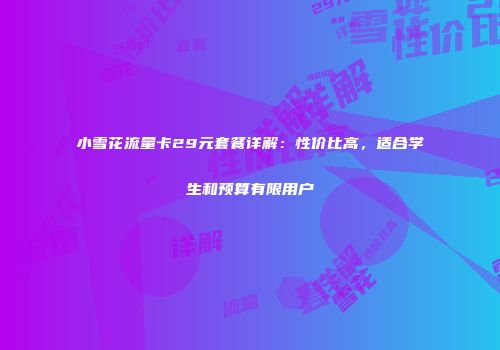 小雪花流量卡29元套餐详解：性价比高，适合学生和预算有限用户