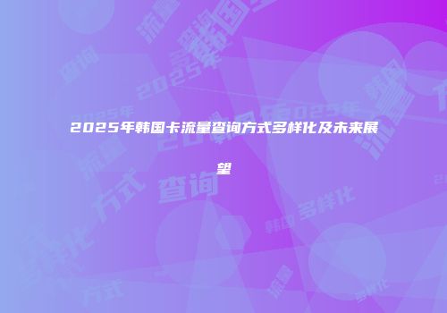 2025年韩国卡流量查询方式多样化及未来展望