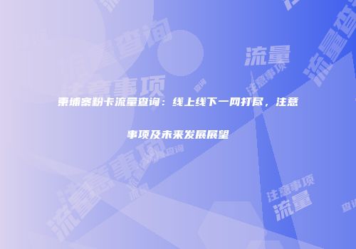 柬埔寨粉卡流量查询：线上线下一网打尽，注意事项及未来发展展望