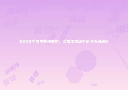 2025年流量管理策略：多维度推动手机卡市场增长