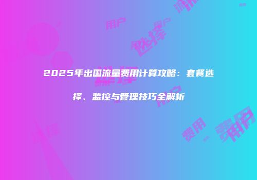 2025年出国流量费用计算攻略：套餐选择、监控与管理技巧全解析