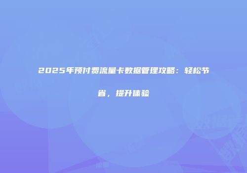 2025年预付费流量卡数据管理攻略：轻松节省，提升体验