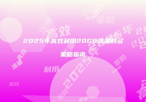 2025年高效利用20GB流量的多策略指南