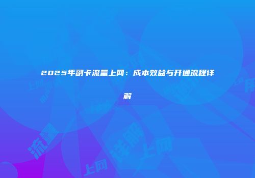 2025年副卡流量上网：成本效益与开通流程详解