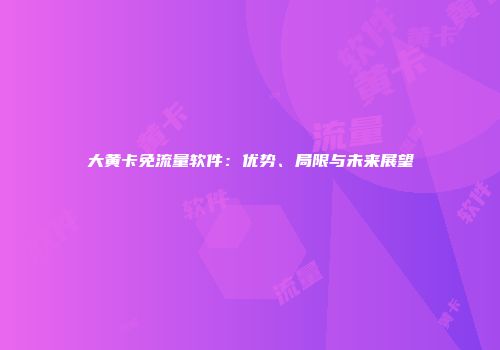 大黄卡免流量软件：优势、局限与未来展望