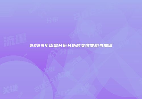 2025年流量分布分析的关键策略与展望