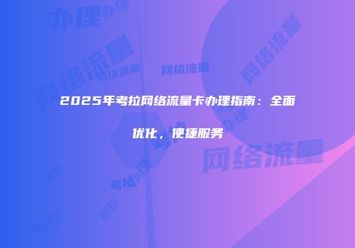 2025年考拉网络流量卡办理指南：全面优化，便捷服务