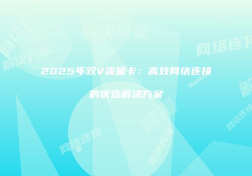 2025年双V流量卡：高效网络连接的优选解决方案