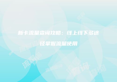 新卡流量查询攻略：线上线下多途径掌握流量使用