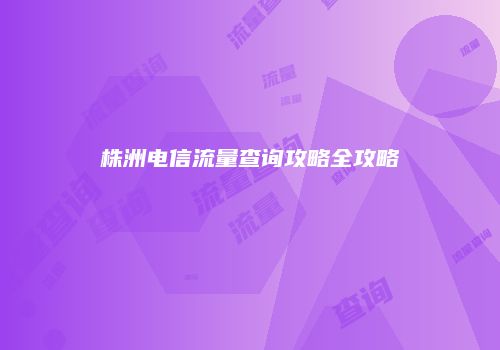 株洲电信流量查询攻略全攻略