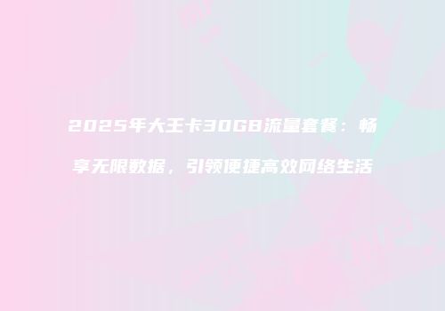 2025年大王卡30GB流量套餐：畅享无限数据，引领便捷高效网络生活