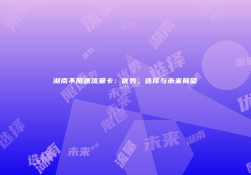 湖南不限速流量卡：优势、选择与未来展望