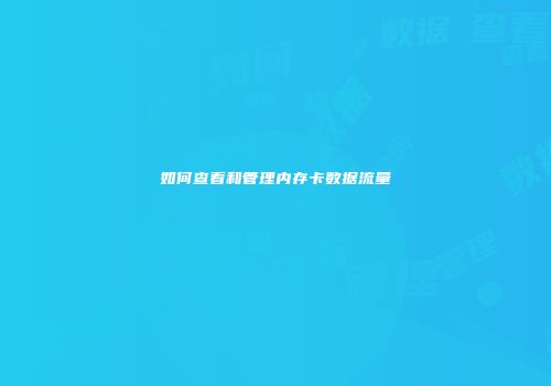 如何查看和管理内存卡数据流量