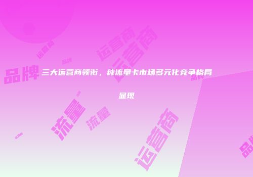 三大运营商领衔，纯流量卡市场多元化竞争格局显现