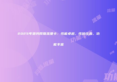 2025年猎豹网联流量卡：性能卓越，性价比高，功能丰富