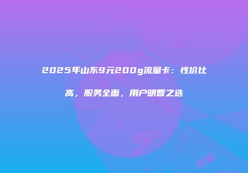 2025年山东9元200g流量卡：性价比高，服务全面，用户明智之选