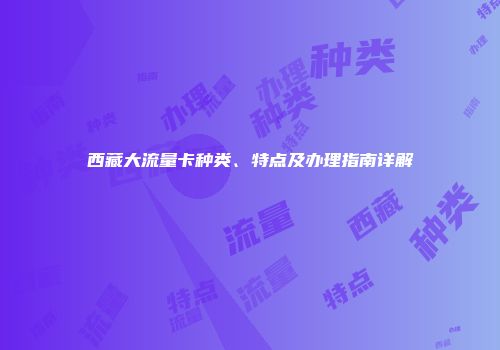 西藏大流量卡种类、特点及办理指南详解
