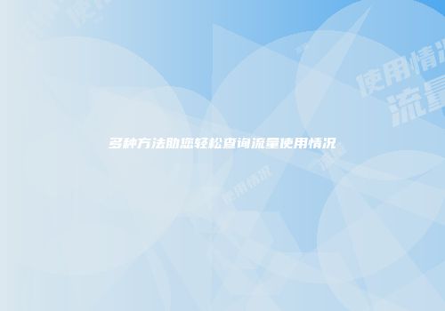 多种方法助您轻松查询流量使用情况