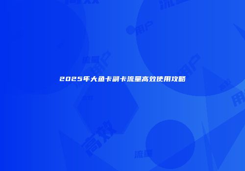2025年大鱼卡副卡流量高效使用攻略