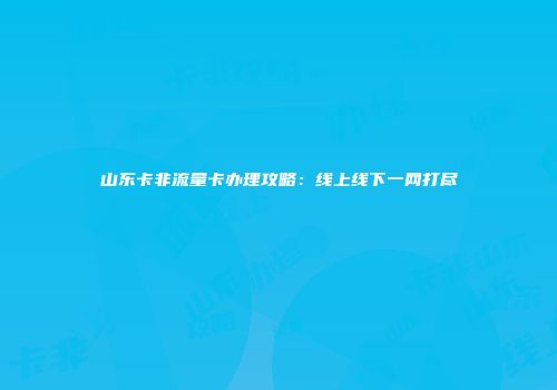 山东卡非流量卡办理攻略：线上线下一网打尽