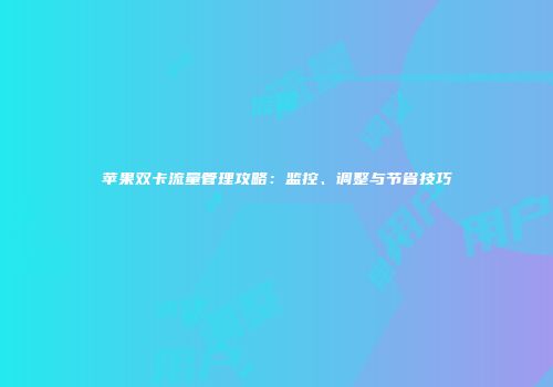 苹果双卡流量管理攻略：监控、调整与节省技巧
