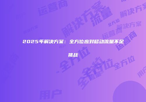 2025年解决方案：全方位应对移动流量不足挑战