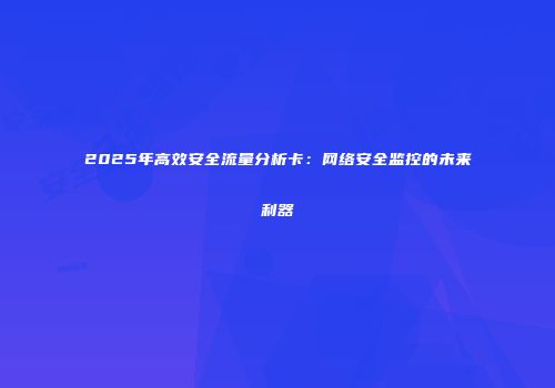 2025年高效安全流量分析卡：网络安全监控的未来利器