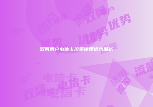 双网用户电信卡流量使用优势解析