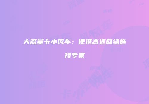 大流量卡小风车：便携高速网络连接专家
