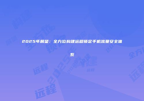2025年展望：全方位构建远程锁定手机流量安全体系