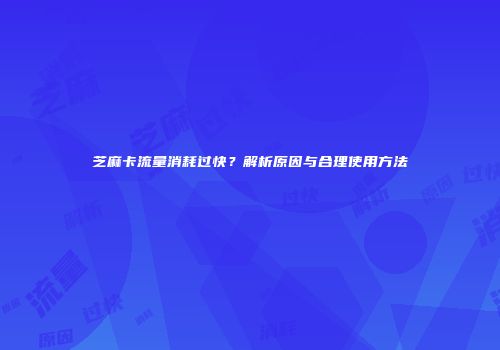 芝麻卡流量消耗过快？解析原因与合理使用方法